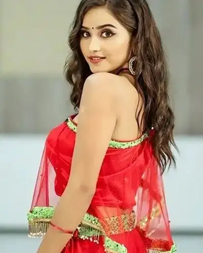 Call Girls Service Tirupathur